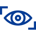 vision